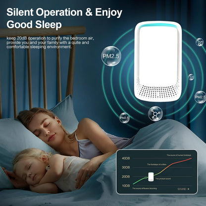 Plug-In Negative Ion Air Purifier